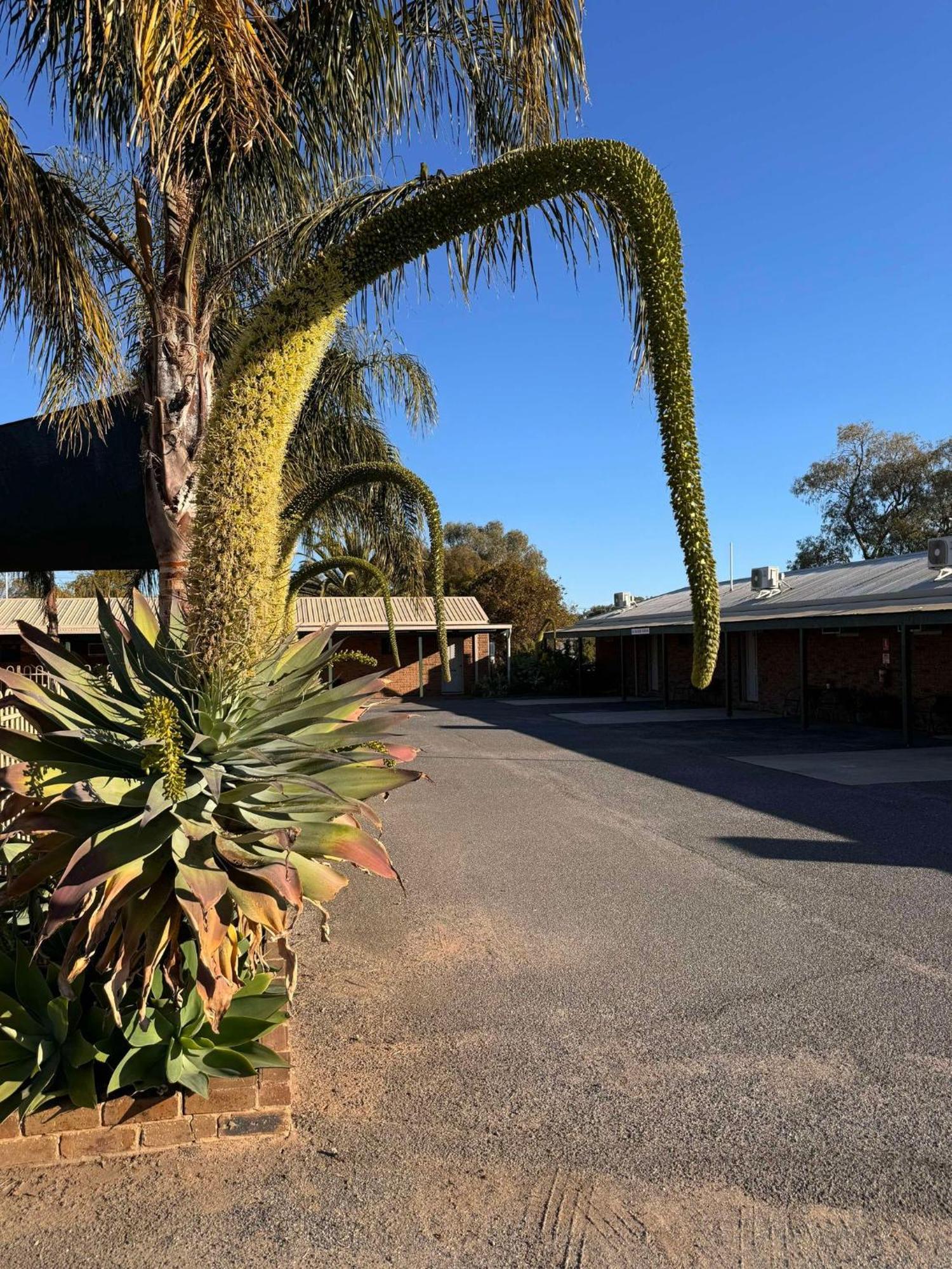 Motel Tooleybuc Motel 3*